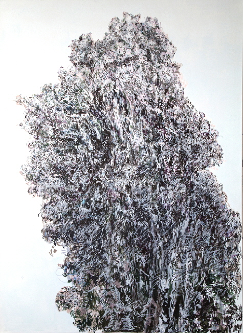 Z8-Pappel-II